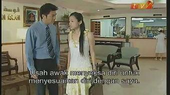 黑森林在线视频观看网站,揭秘热门在线视频网站的精彩瞬间